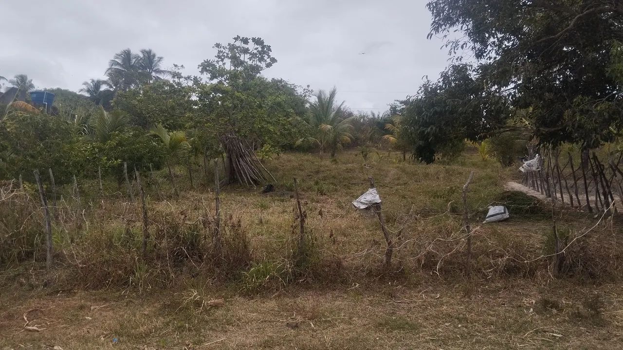 foto - Ilha de Itamaracá - 