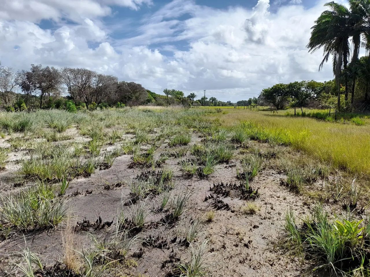 Terreno para chácara  - Foto 6
