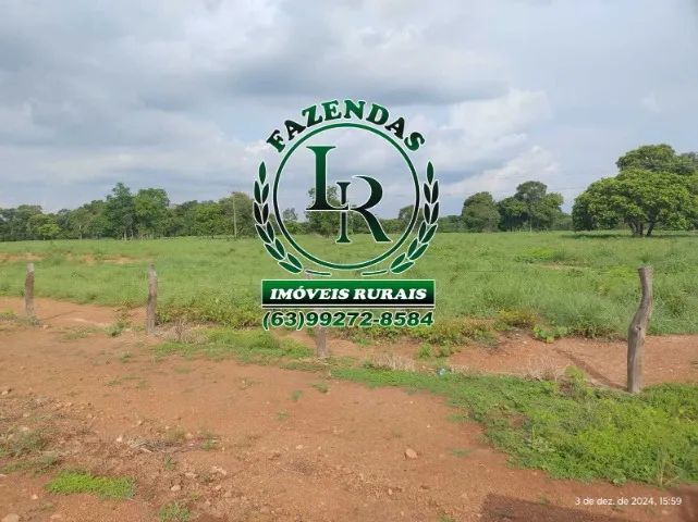 Fazenda de 416 Alqueires Plana - Foto 5