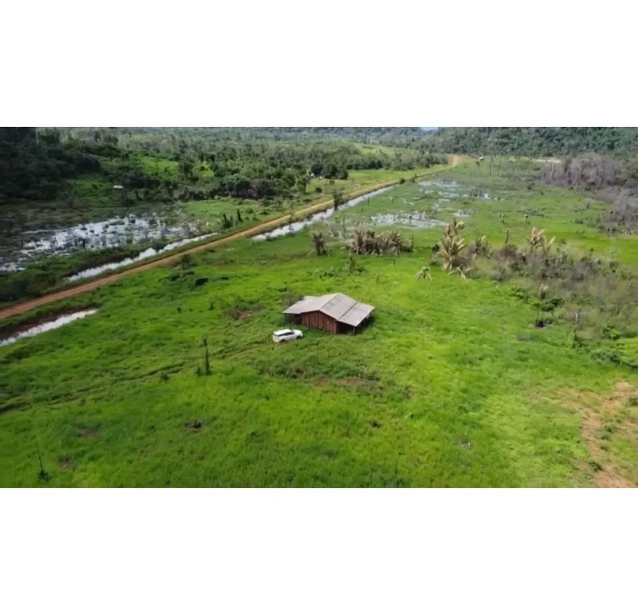 Fazenda metade do preço hoje
