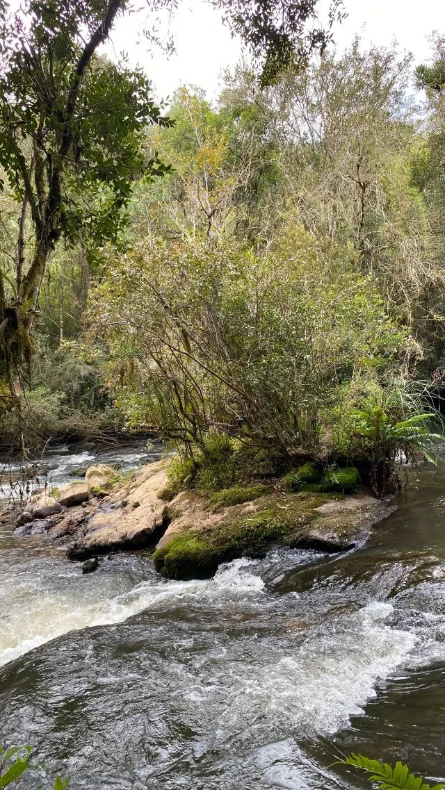 Vende-se Pousada próxima à Monte Verde MG - Foto 6
