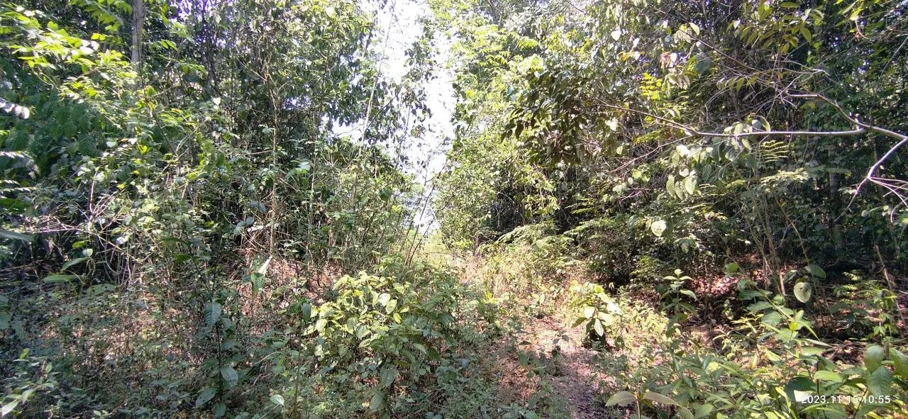 //Lote em Açutuba com 4 mil m2 - Foto 3