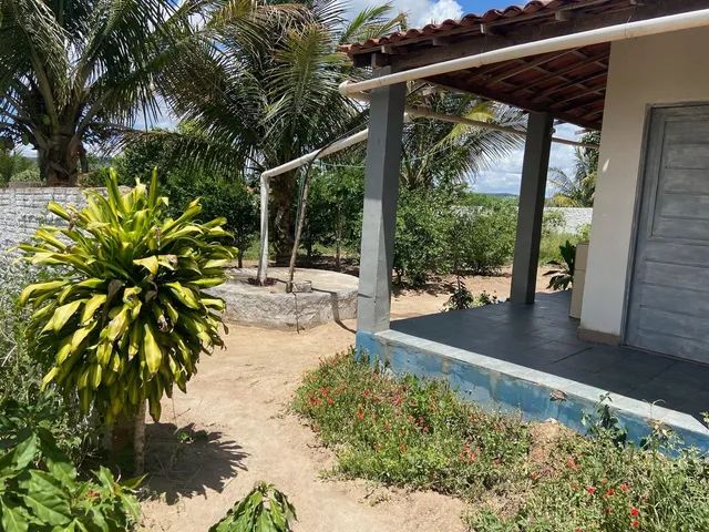 Chácara Em Bom Conselho - PE - Foto 5