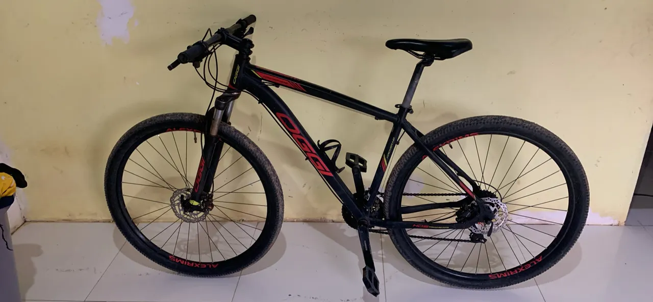 Bicicleta Aro 29 Oggy