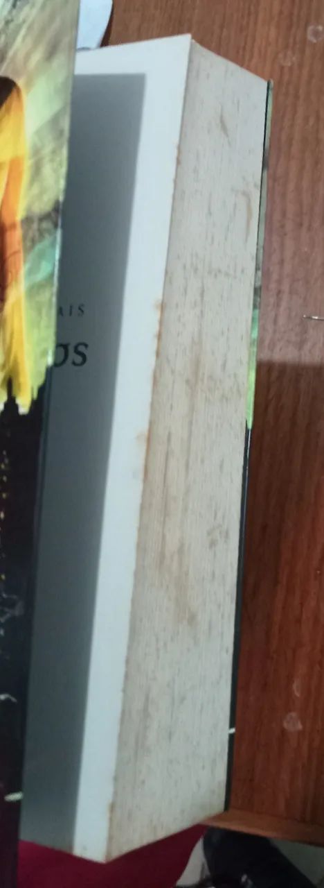 Livro Cidade dos Ossos  - Foto 2