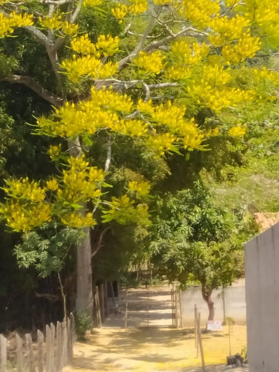 Fazenda com área de preservação e cachoeira