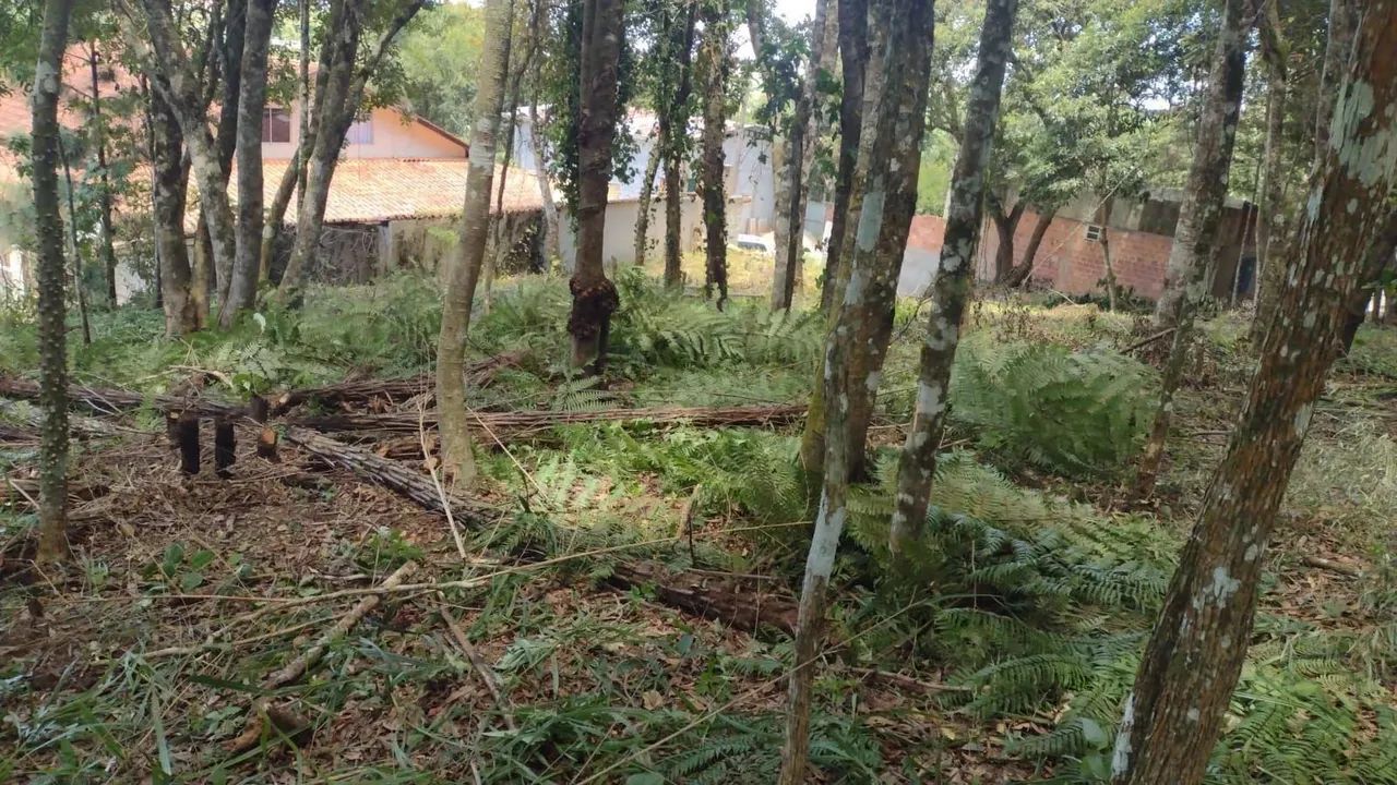 Terreno à venda, VILA GUARANI , COLOMBO - PR - Foto 5