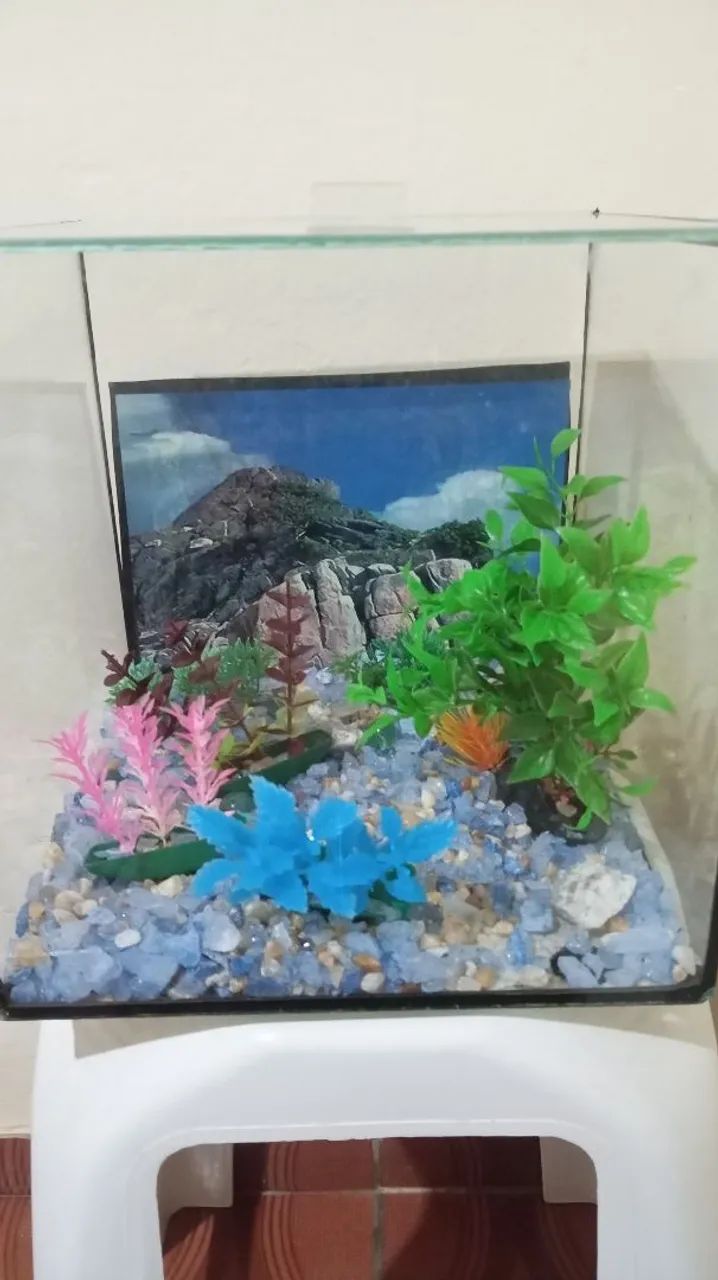 Aquário 10 Litros disponível para venda  - Foto 3