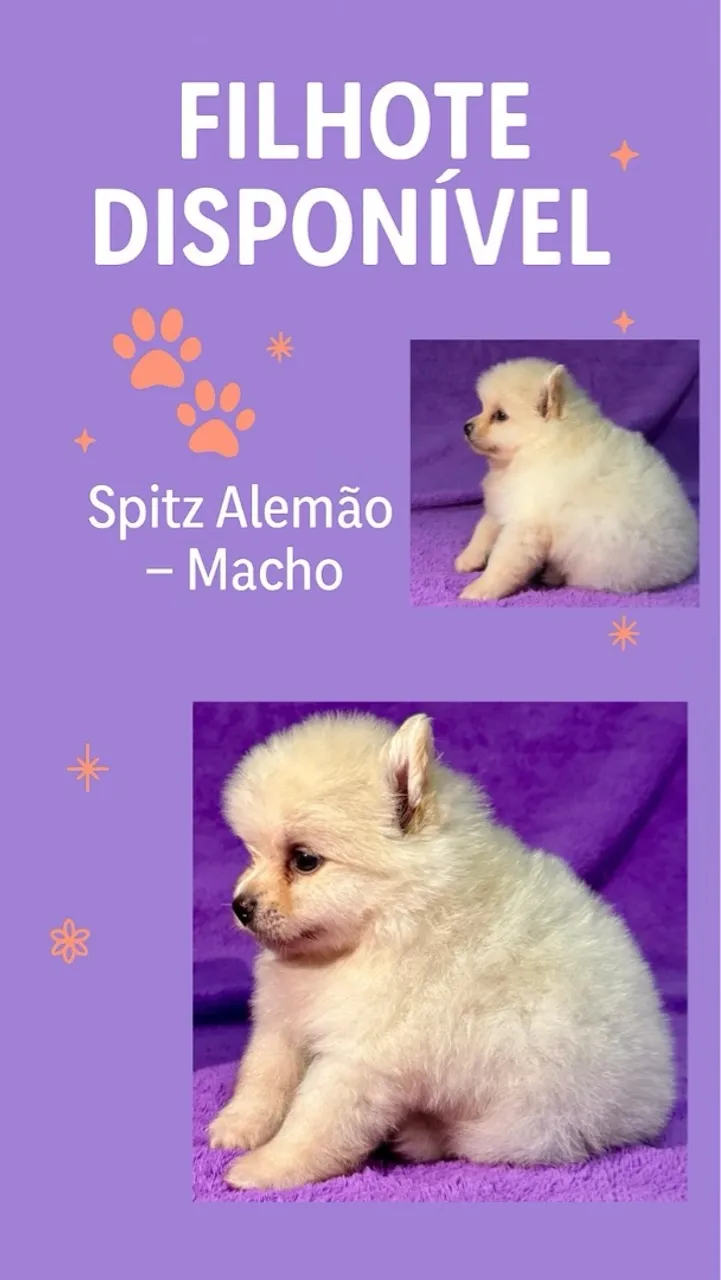 Machinho disponível