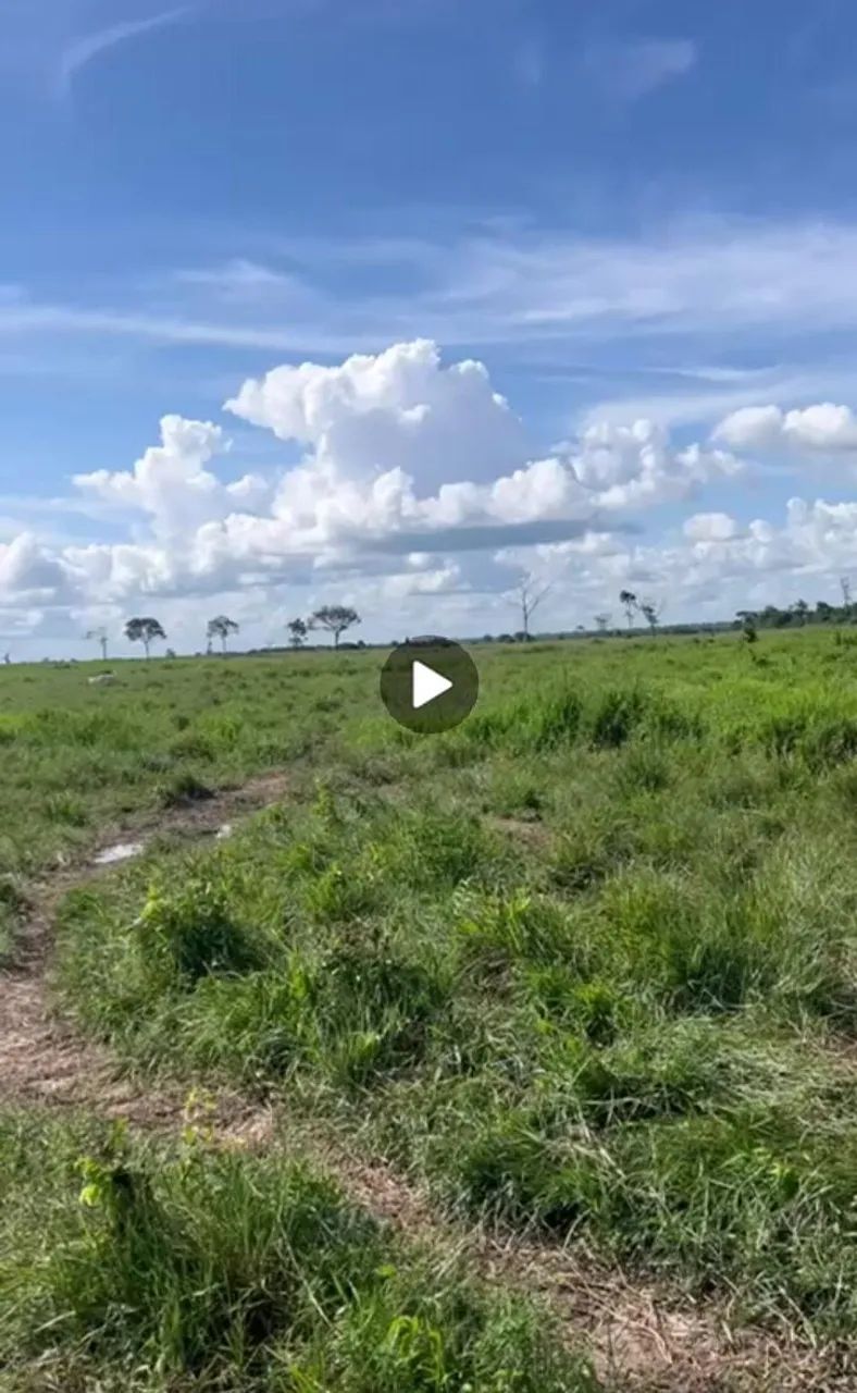 Fazenda de gado para venda com 154,8 hectares em Ipixuna do Pará - Foto 3