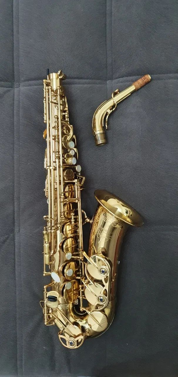 Sax Alto Yanagisawa Elite Profissional AW010 - Foto 4