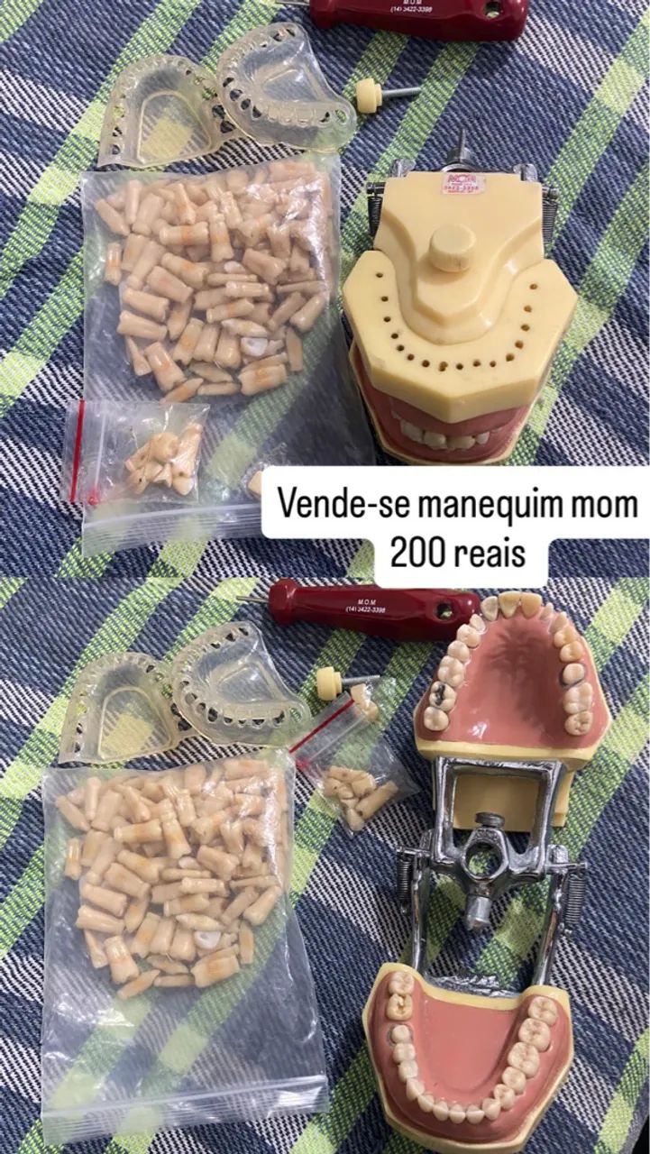 Manequim Odontológico MOM Completo