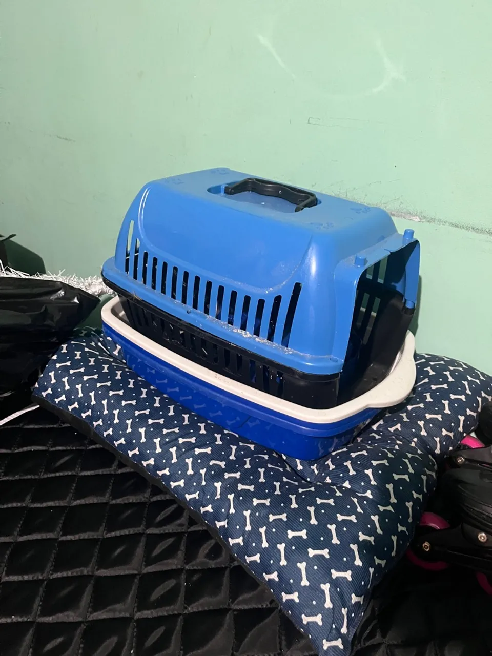 Itens para gato