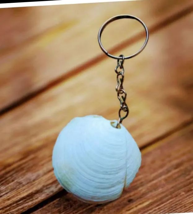 Seashell Keychain444676661335838720