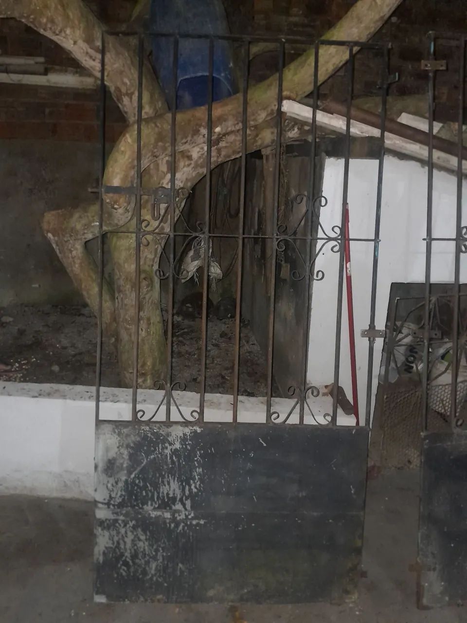 Vendo portao64617882683649124