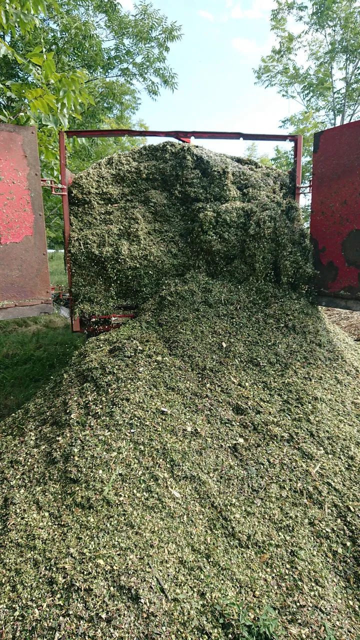 Vagão Forrageiro Nogueira VFN 8000 - Foto 6