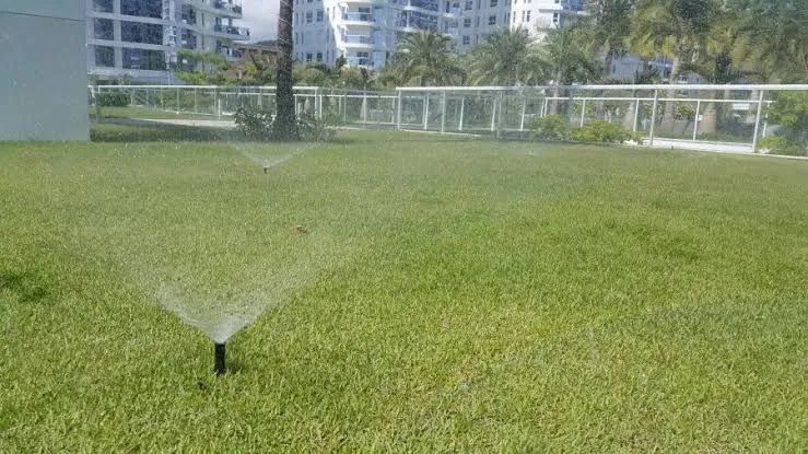 Irrigação  - Foto 2