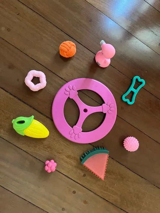 Brinquedos Pet - leve 8 pague 4 - Foto 5