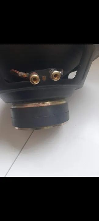 Subwoofer 12 Polegadas 700W RMS - Foto 2