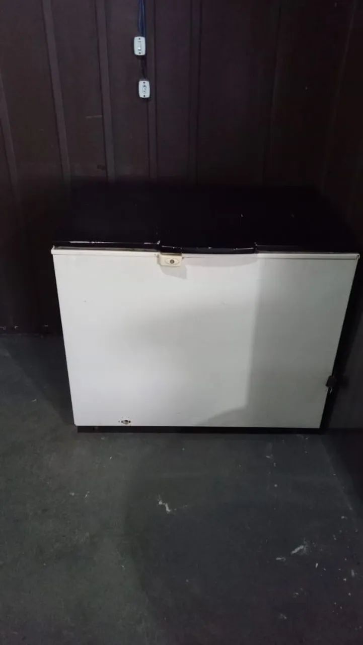 Freezer Electrolux  - Foto 2