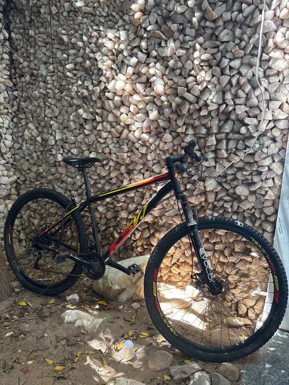 Bicicleta aro29
