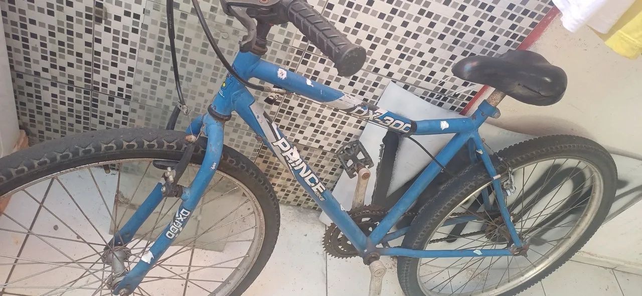 Bicicleta