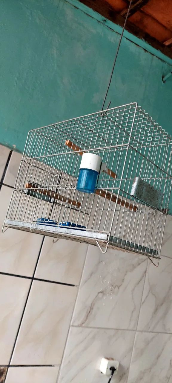Gaiola passarinho  - Foto 2