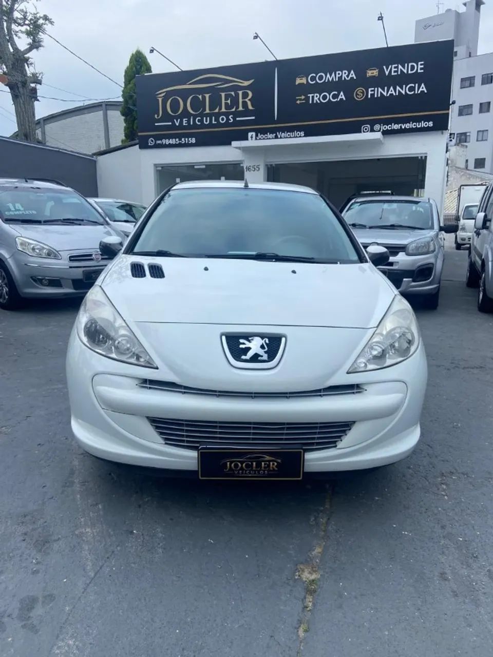 Peugeot 207 207 XR 1.4 FLEX 8V 5P 2013