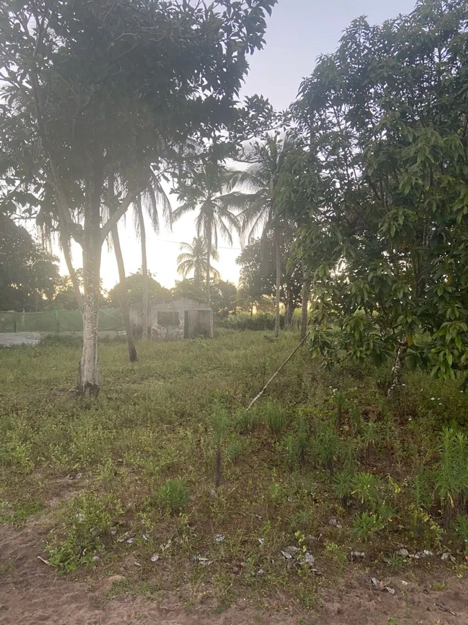 Sítio a venda, casa inclusa com a venda  - Foto 5