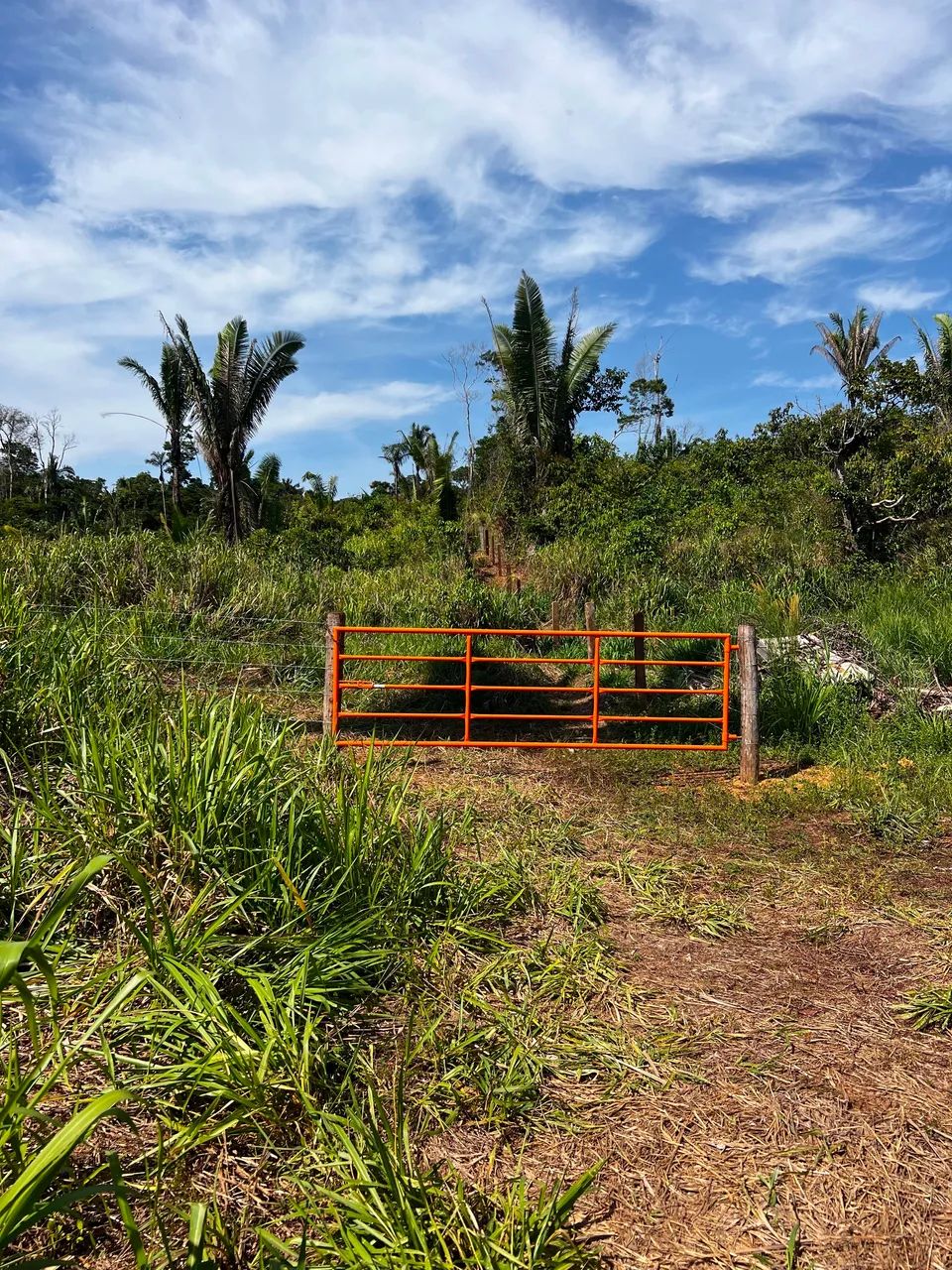 Chácara  - Foto 2