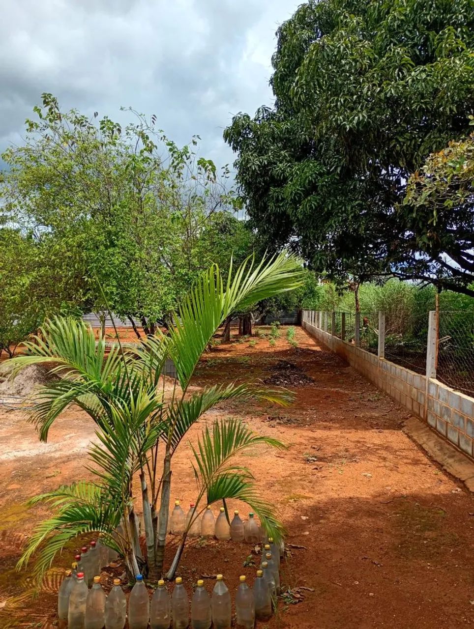 Vendo Chácara com piscina  - Foto 4