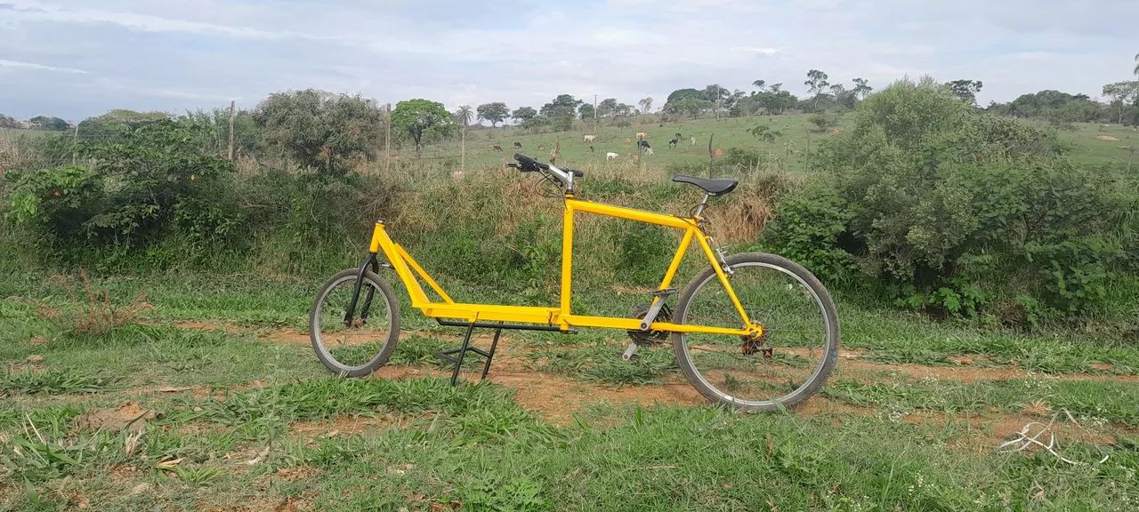 Cargo bike (bakfiets) - Foto 3