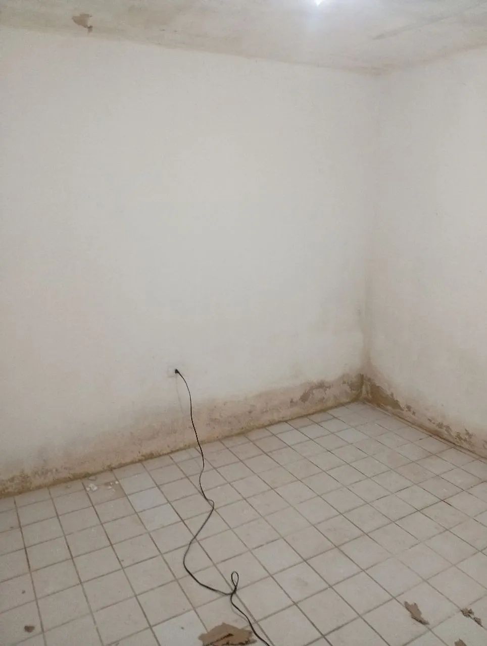 Oportunidade no brejo da Guabiraba  - Foto 4