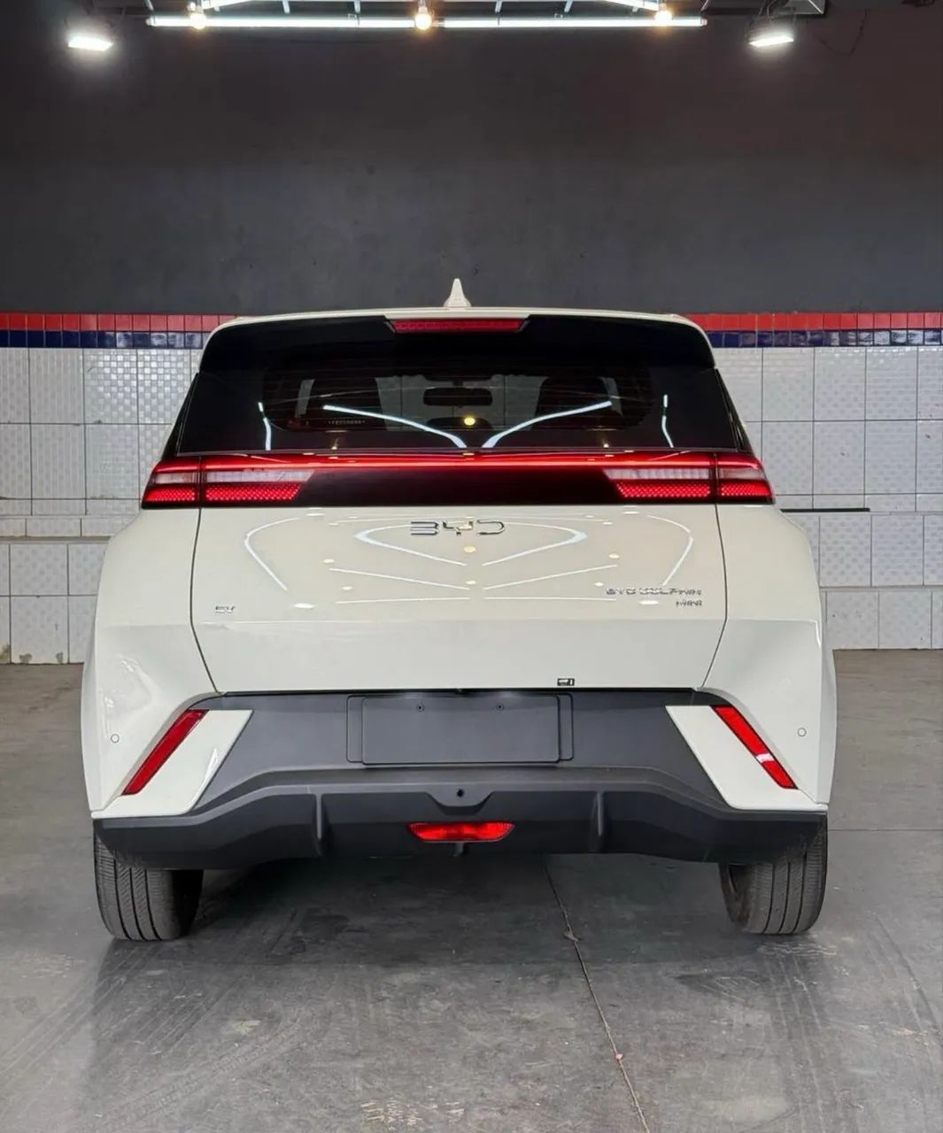 BYD Dolphin Mini (Elétrico) 2024