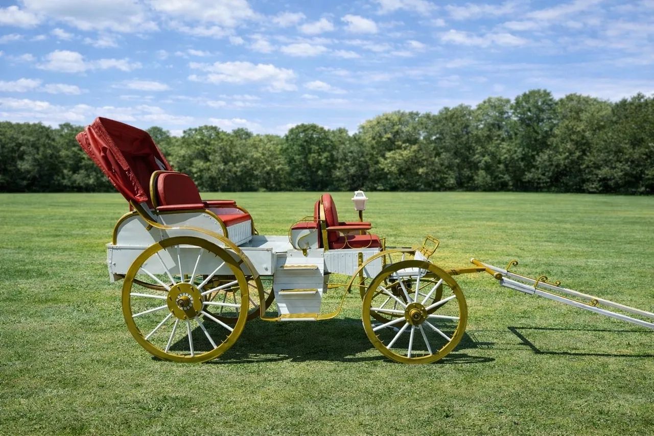 Carruagem Estilo Império - Restaurada | Peça Histórica - Foto 5