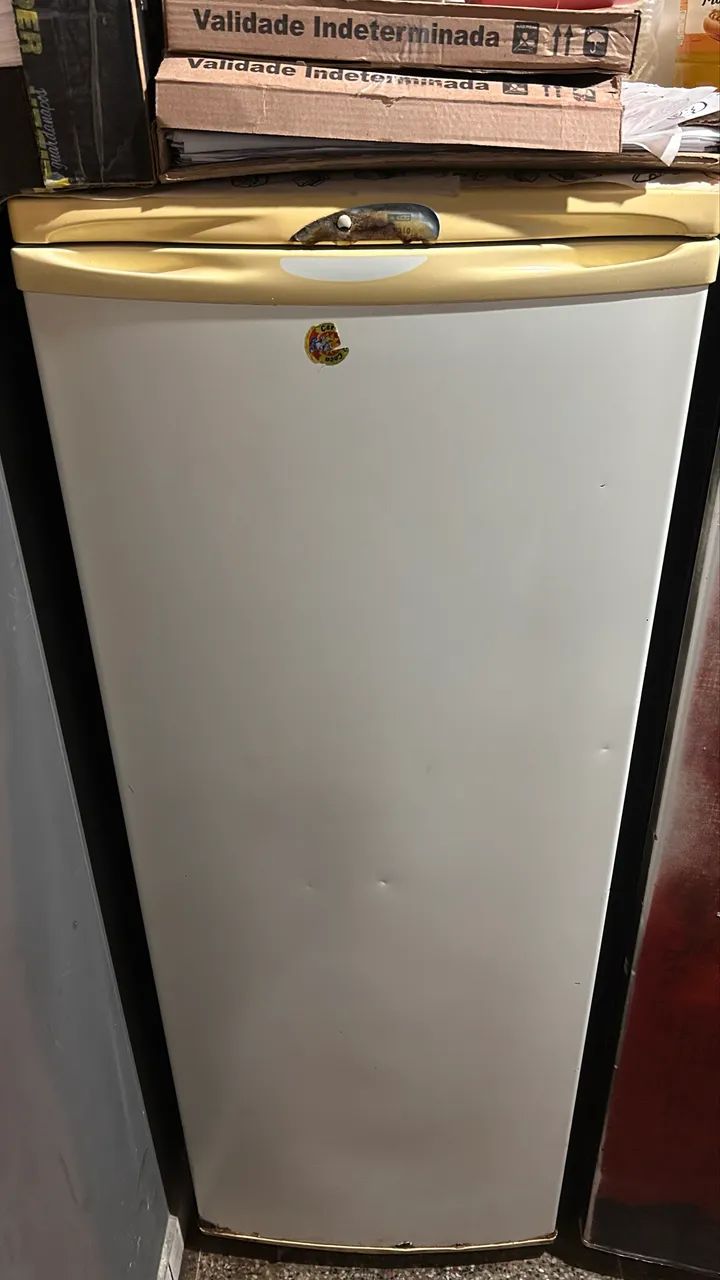 Freezer Vertical