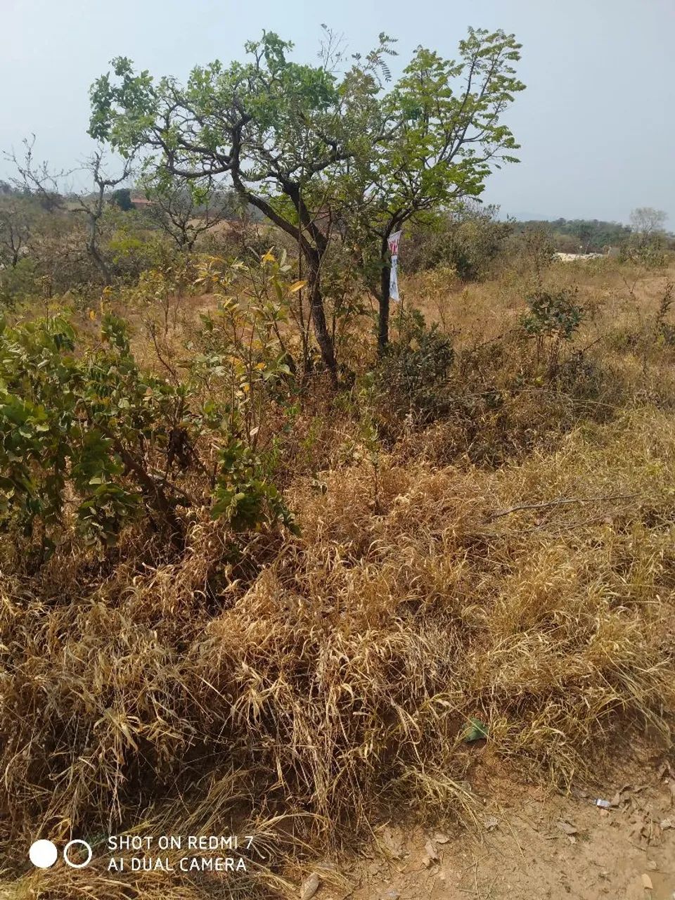 Lote 360m2 - Foto 2