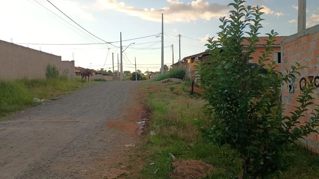 Vendo  - Foto 2