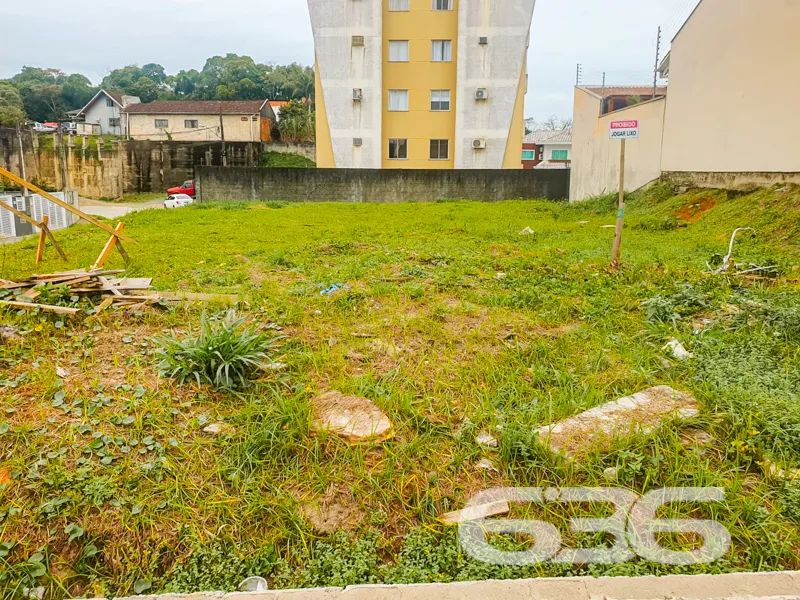 Terreno | Joinville | Floresta - Foto 5