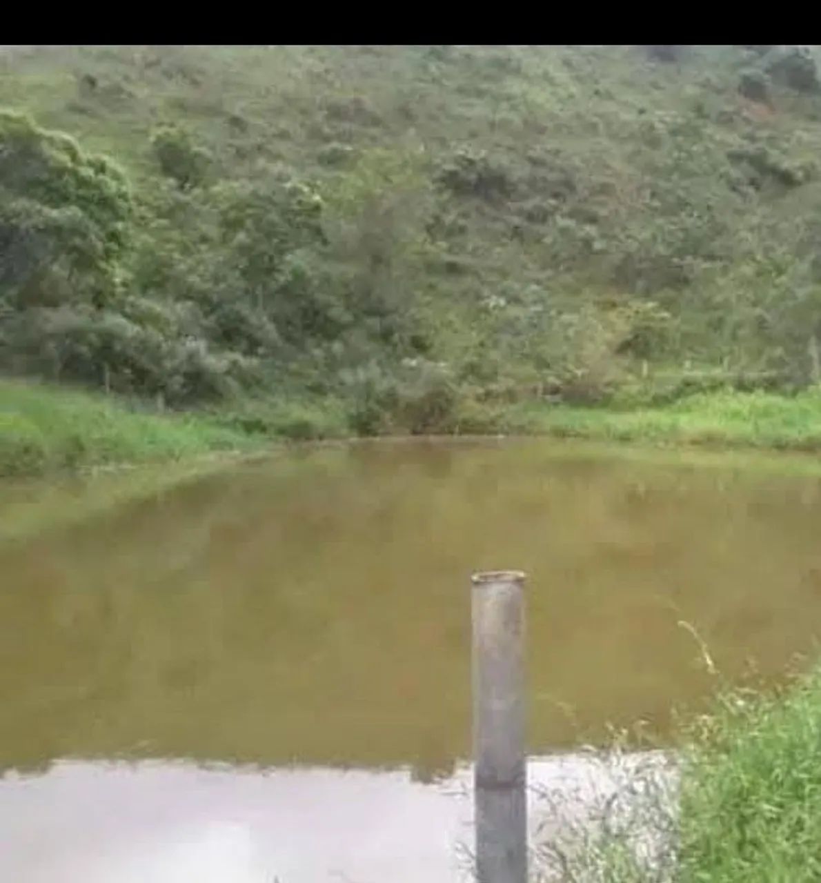 Fazenda em Taubaté  - Foto 4