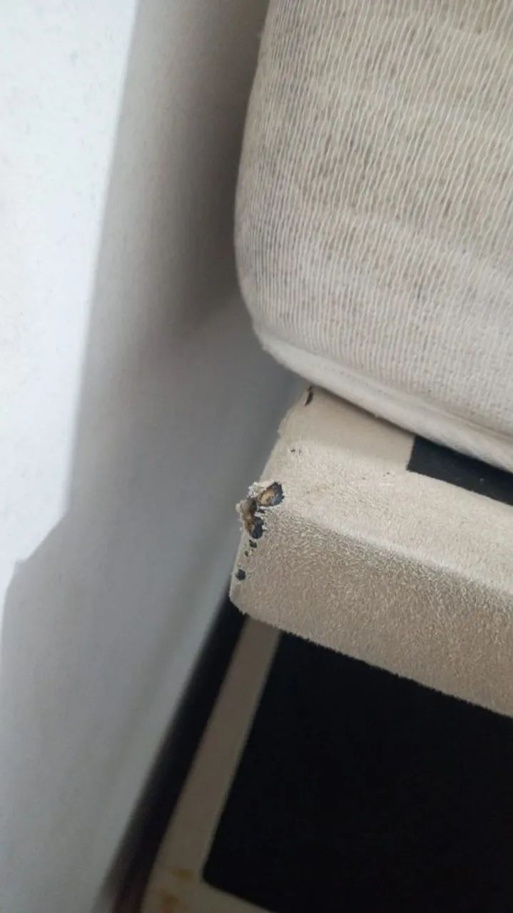 Doação de cama