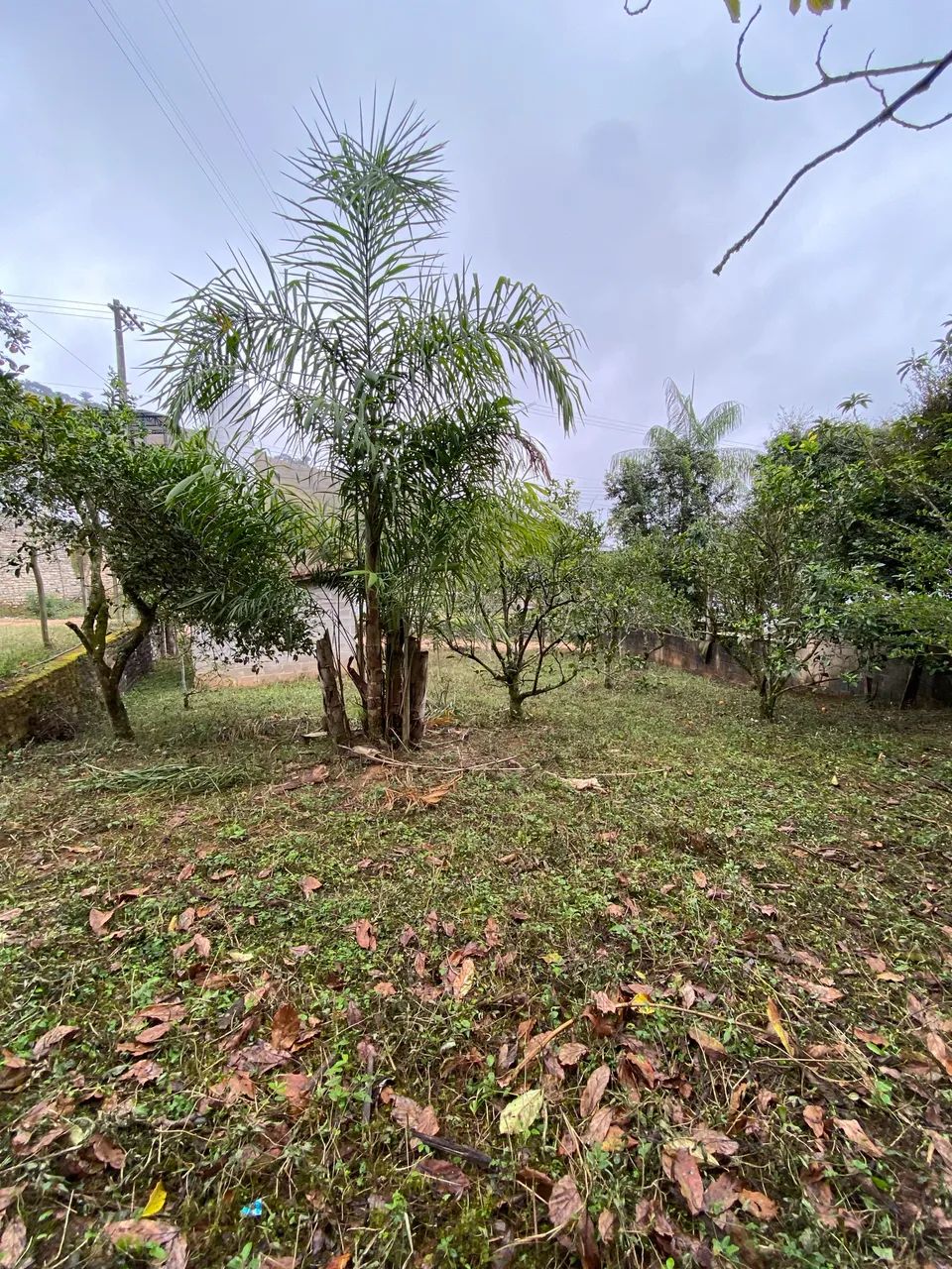 Vende-se lote a 2 kms do centro de Vargem Alta 