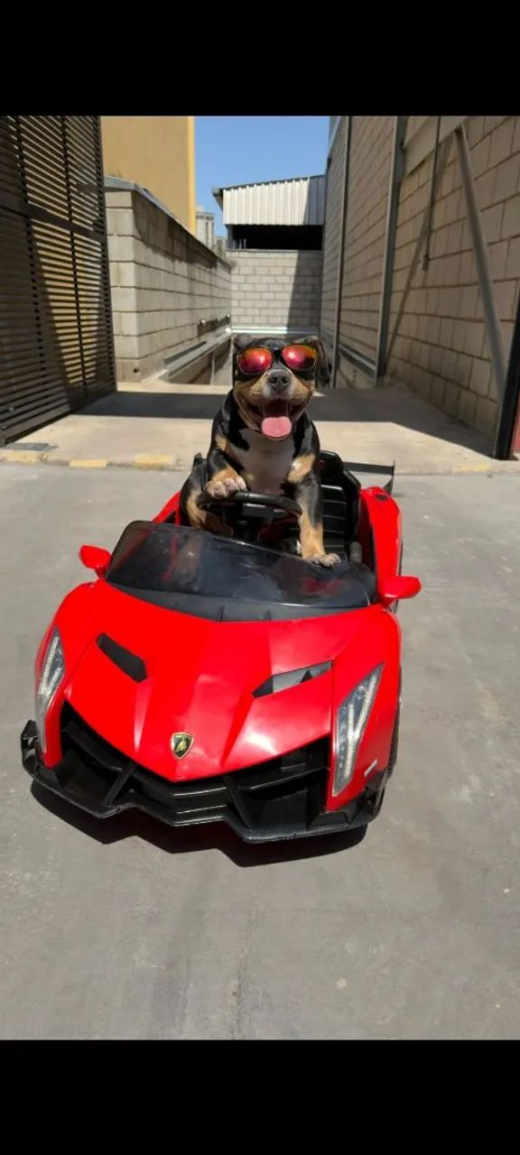 Carro Elétrico Infantil Lamborghini 