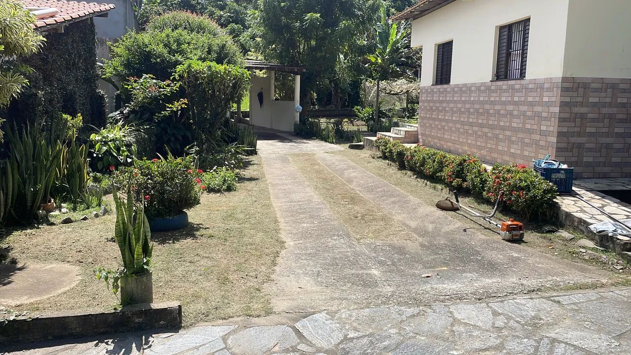 Serviço de roçagem / roçadeira / quintal, terrenos, lotes, condomínios  - Foto 3