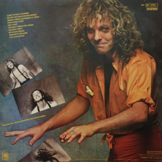 LP VINIL PETER FRAMPTON - RARIDADE - Foto 2