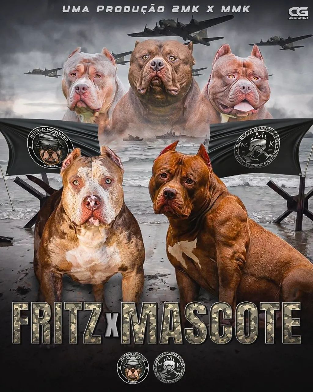 Filhote de pitmonster com pedigree IBC - Foto 3