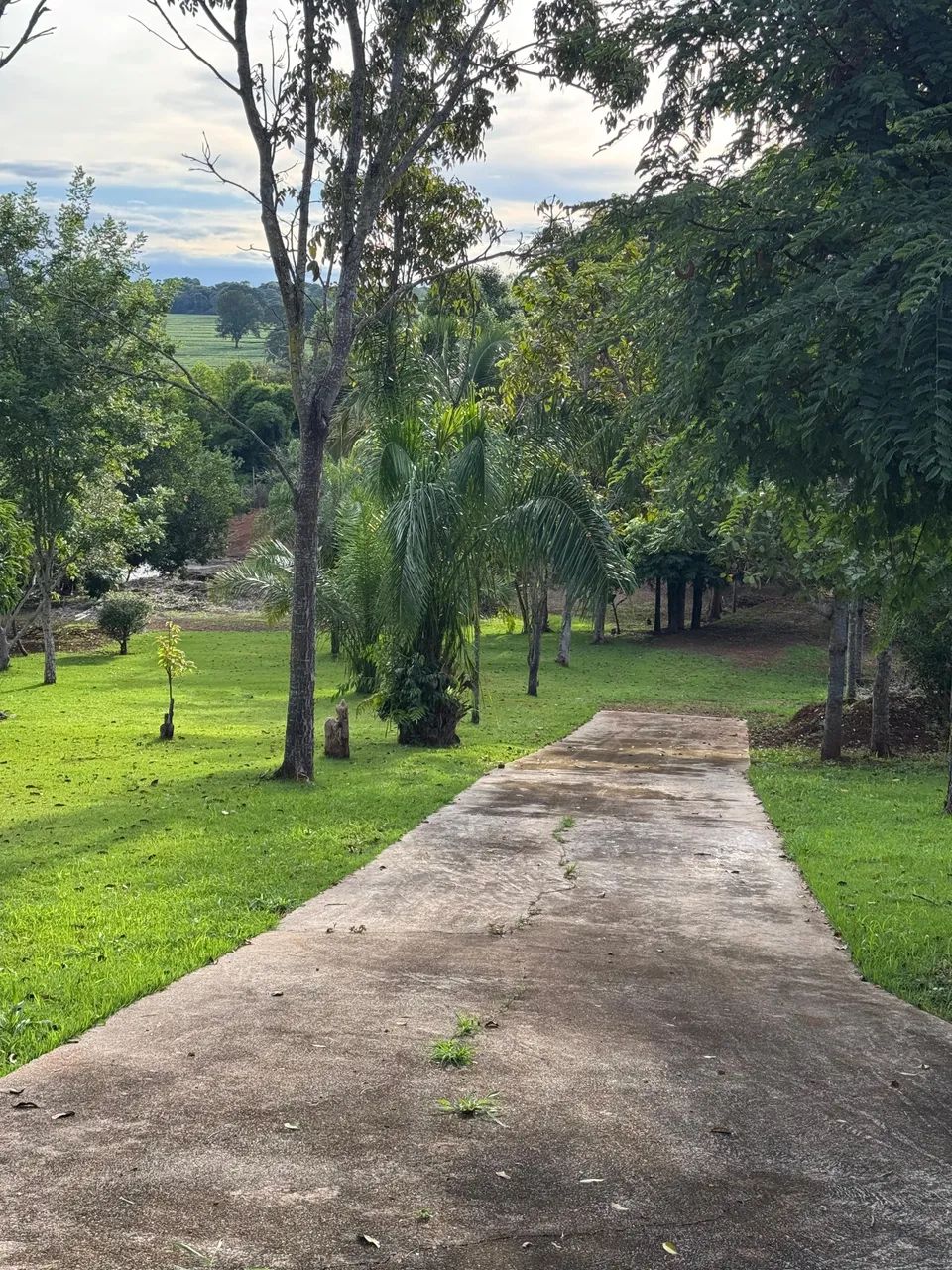 Chácara - Condomínio Ribeirão da Cachoeira - Foto 3