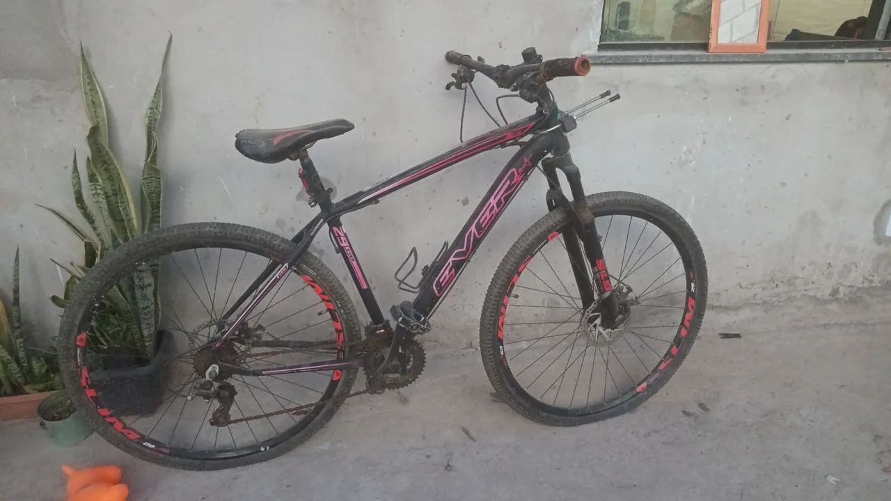 Bicicleta aro 29