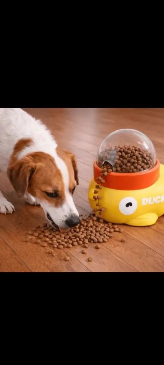 Alimentador de cães e brinquedo  - Foto 2
