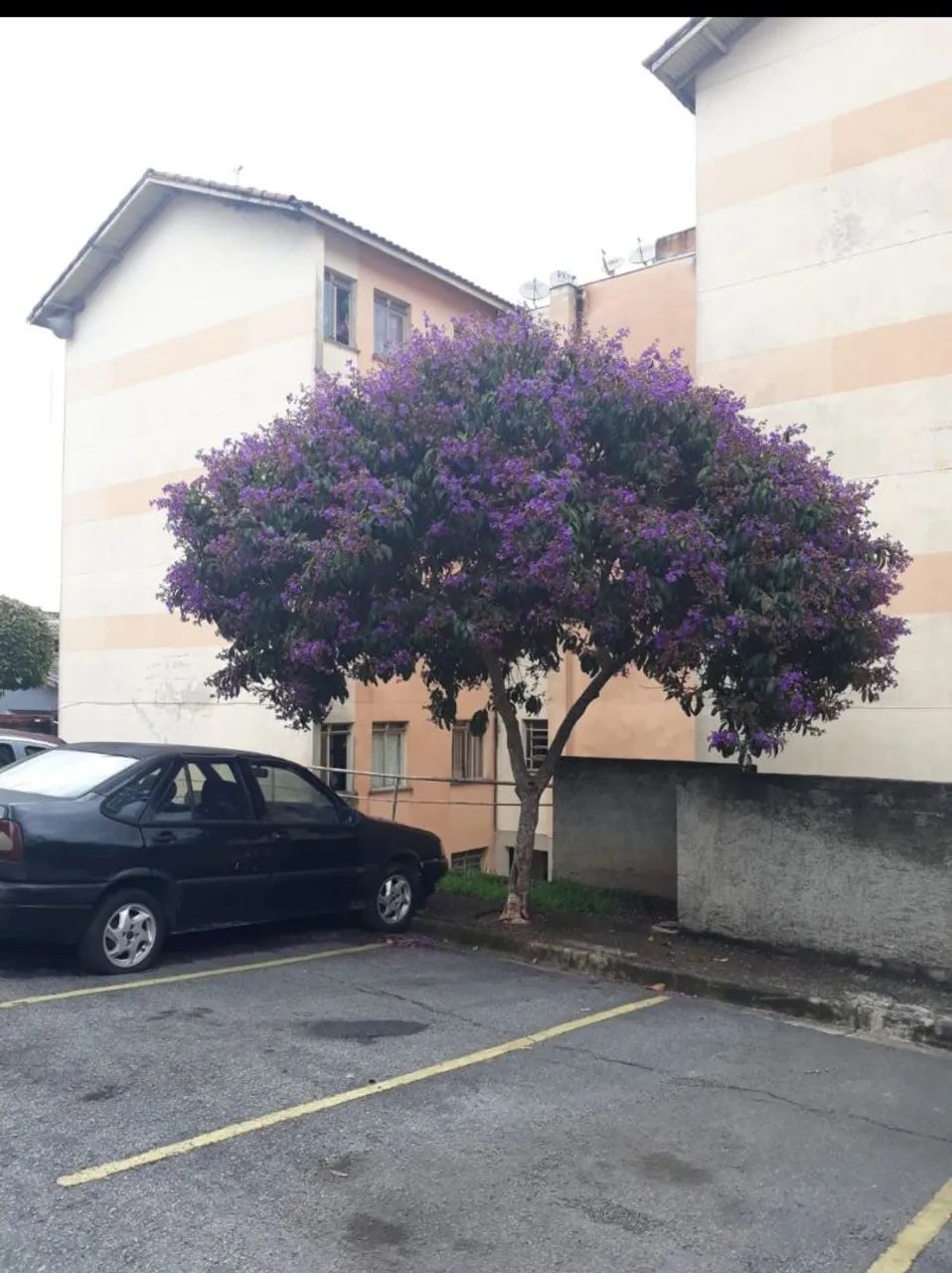 Foto - Carapicuíba - Vila Silviânia